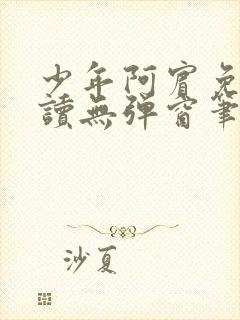 少年阿宾免费阅读无弹窗笔趣阁