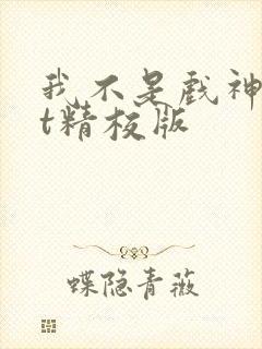 我不是戏神txt精校版