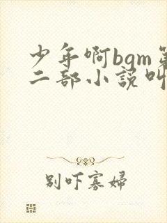 少年啊bgm第二部小说叫什么封面