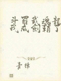 斗罗武魂龙渊剑我成剑鞘了笔趣阁