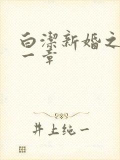 白洁新婚之夜第一章