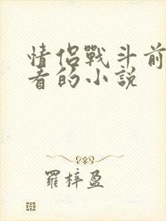 情侣战斗前适合看的小说