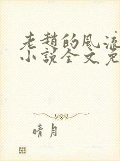 老赵的风流人生小说全文免费阅读