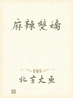 麻辣双娇