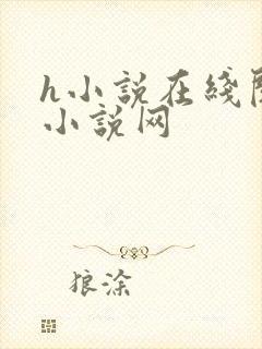 h小说在线阅读小说网