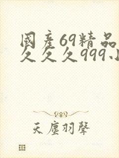国产69精品久久久久999小说