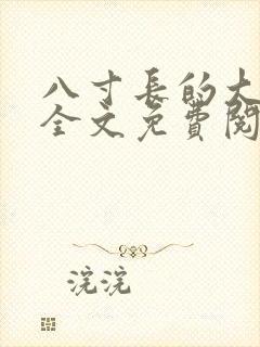 八寸长的大宝贝全文免费阅读封面