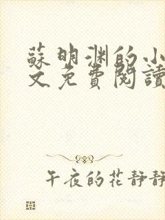 苏明渊的小说全文免费阅读无弹窗