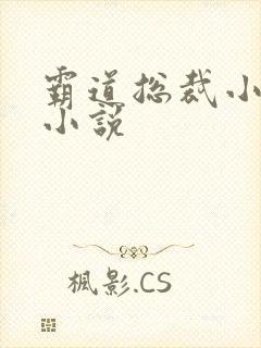 霸道总裁小娇妻小说封面