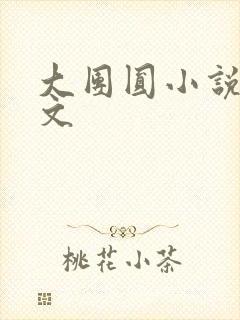 大团圆小说集全文封面