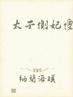 太子侧妃傻乎乎封面