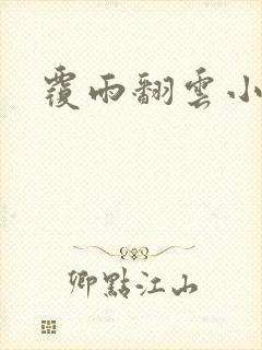 覆雨翻云小说封面