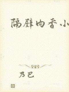 隔壁肉香小说