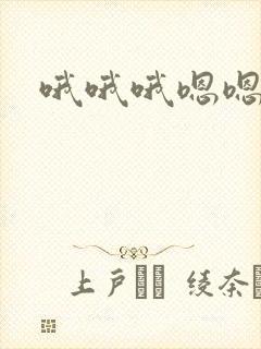 哦哦哦嗯嗯小说封面