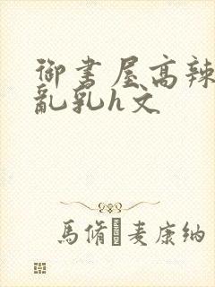 御书屋高辣h文乱乳h文