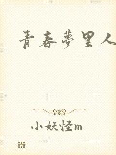 青春梦里人封面