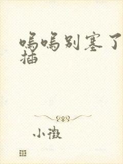 呜呜别塞了啊抽插封面