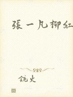 张一凡柳红封面