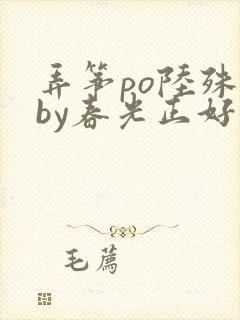 弄筝po陆殊词by春光正好封面