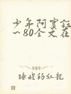 少年阿宾钰慧1～80全文在线阅读