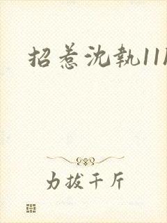 招惹沈执11h封面