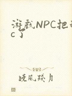 游戏NPC把我c了