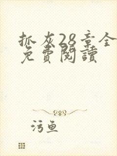 抓灰28章全部免费阅读