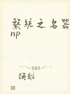 系统之名器攻略np