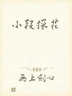 小段探花封面