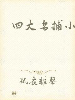 四大名捕小说封面