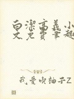 白洁高义小说全文免费笔趣阁在线阅读封面