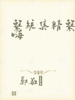 系统集精系统高嗨