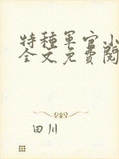 特种军官小小妻全文免费阅读封面