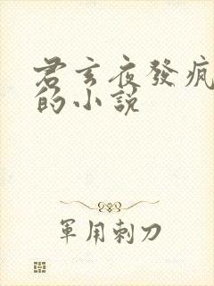 君玄夜发疯少爷的小说