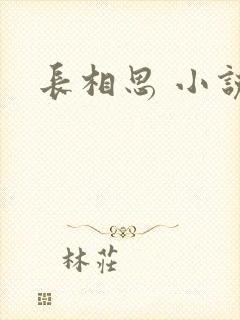 长相思 小说