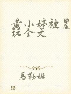 黄小婷被农民工玩全文