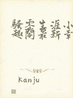 骚零生涯小说笔趣阁最新章节更新背封面