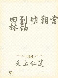 回到明朝当王爷林劲