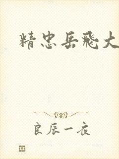 精忠岳飞大结局