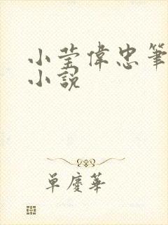 小莹伟忠笔趣阁小说