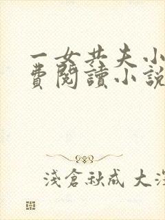 一女共夫小说免费阅读小说