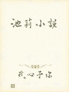 池莉小说
