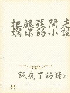 把腿张开老子臊烂你的小说封面