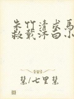 朱竹清求马红俊救戴沐白小说