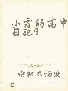 小霜的高中成长日记9封面