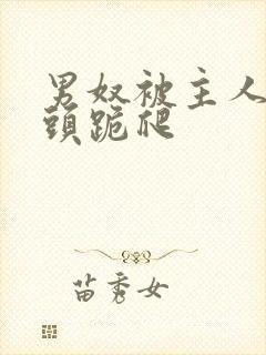 男奴被主人拽奶头跪爬封面