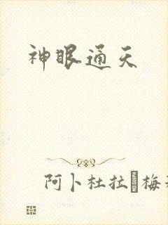 神眼通天封面
