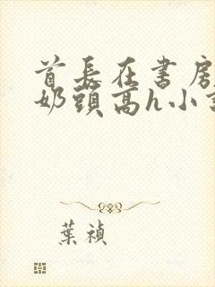 首长在书房含我奶头高h小说