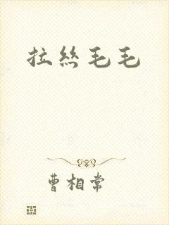 拉丝毛毛