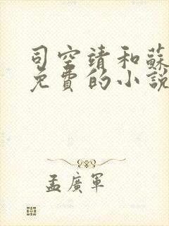 司空靖和苏月汐免费的小说笔趣阁